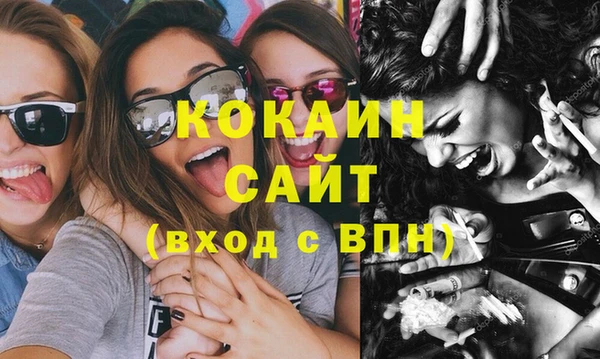 индика Богородск