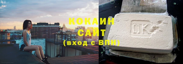 индика Богородск