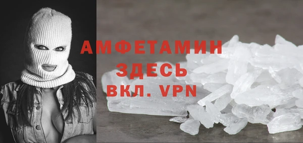 индика Богородск