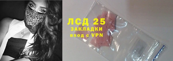 индика Богородск