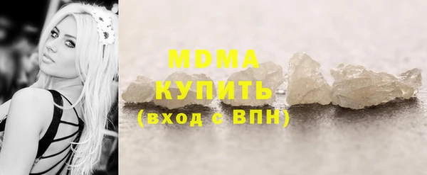 индика Богородск