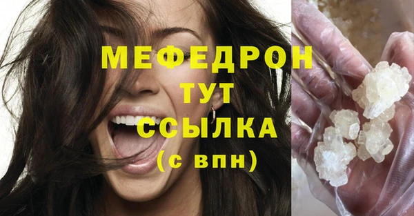 индика Богородск