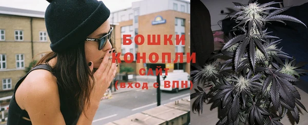 винт Богданович