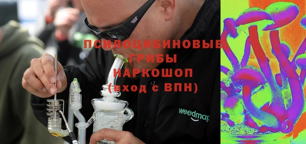 таблы Богородицк