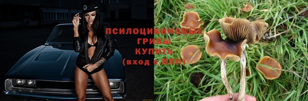 таблы Богородицк