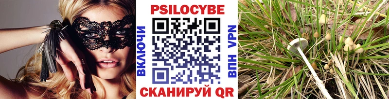 Галлюциногенные грибы Cubensis Сафоново