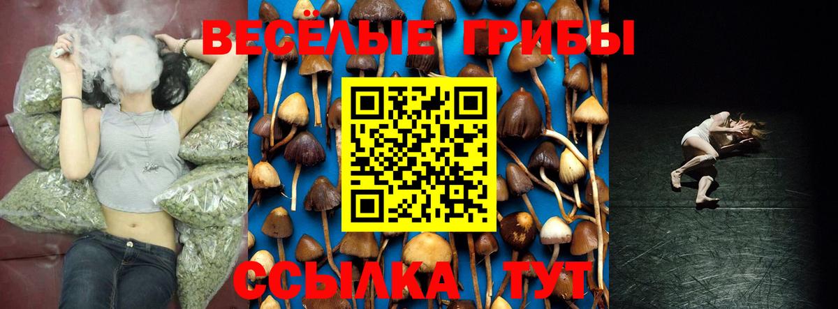 Сафоново  Псилоцибиновые грибы прущие грибы  Вход с VPN 