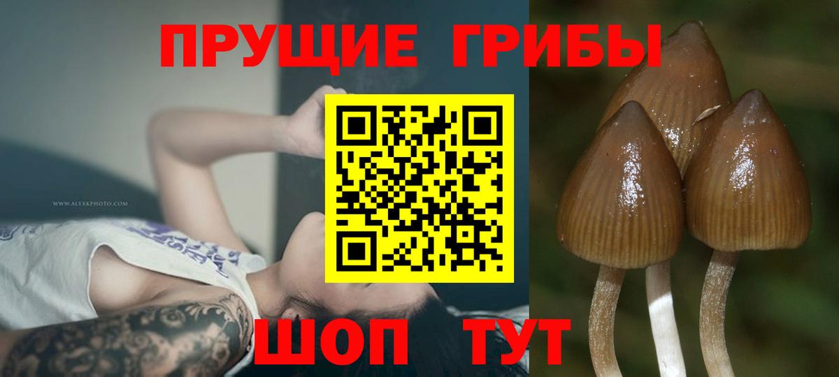 COCAIN  Гашиш  Экстази  Вход с VPN  Сафоново  МЕФ   Наркошоп  МДМА  Codein 